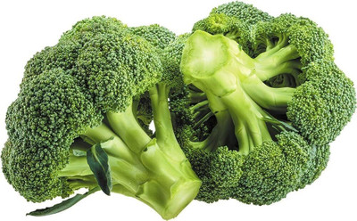 LIFELEX Broccoli Green Vegetable Seeds, Brokolee Plant Seed(122 per packet)