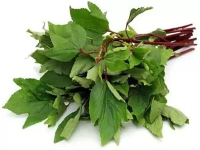 Aro Ambada Red, Gongura, Roselle Seed(30 per packet)