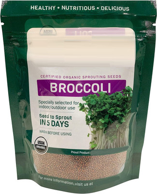 WILLVINE HUA-662 F1 Hybrid Broccoli Aria Seeds Seed(200 per packet)