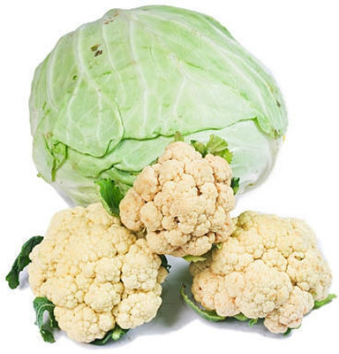SHASHWAT CREATION white cauliflower,gobhee seeds Seed(40 per packet)