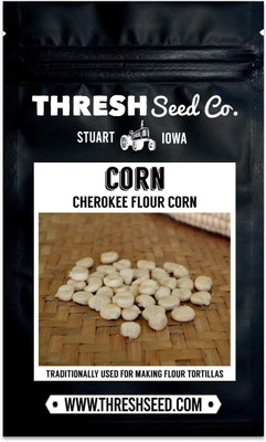 WILLVINE GBPUT -V Cherokee Flour Corn-[500g] Seed(2000 per packet)