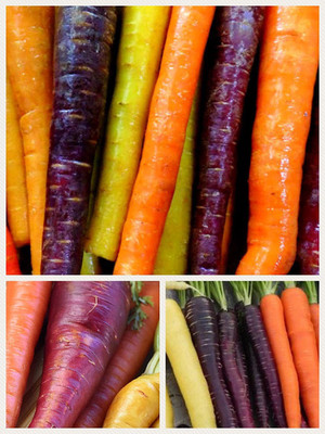 CYBEXIS LXI-56 - Rainbow Supreme Carrot Mixture - (750 Seeds) Seed(750 per packet)