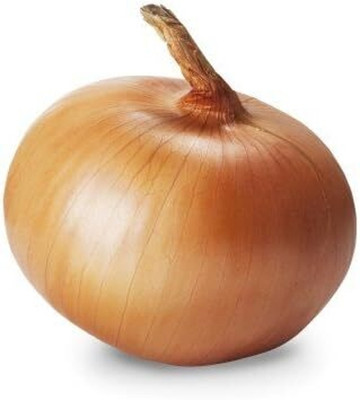 Qualtivate GXL-6AT Yellow Granex F1 Short Day Hybrid Onion Seed(500 per packet)