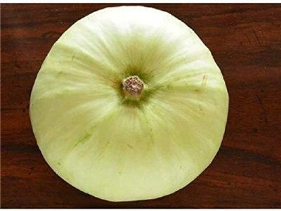 Lorvox F1 Hybrid Arka BaharRound Bottle Gourd Seed(65 per packet)