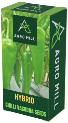 WILLVINE AMR -I CHILLI VASUDHA/HARI MIRCH[1gm] Seed(200 per packet)