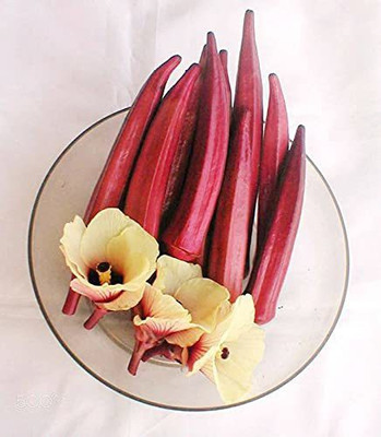 KANAYA Red Okra Seed(20 per packet)