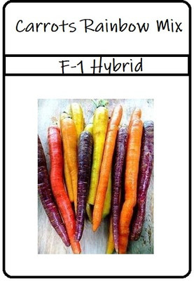 CRGO GAAJAR, CARROT Seed(125 per packet)