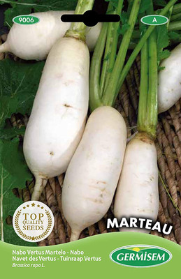 CYBEXIS Radish Beetroot Seeds2400 Seeds Seed(2400 per packet)