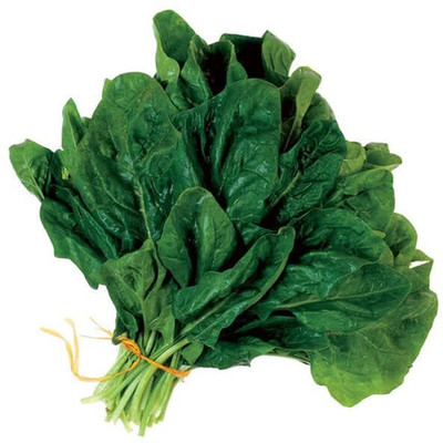Qualtivate ICRA-9A Hydroponics Spinach seeds Seed(300 per packet)