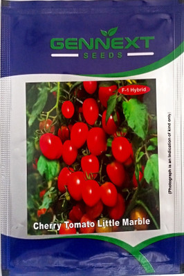 KRASHAK Cherry Tomato Red Color Little Marble, F1 Hybrid Cherry Tomato Seed(2 per packet)
