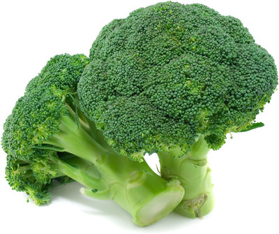 CYBEXIS Organic Broccoli Seeds GROENE Calabrese2000 Seeds Seed(2000 per packet)