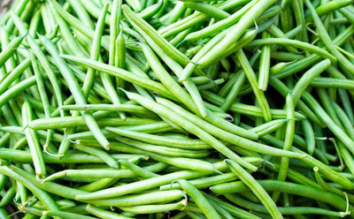 BDSresolve bean seeds hybrid all season/beans seeds 43 Seed(43 per packet)