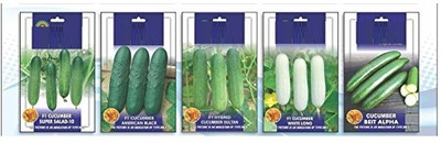 WILLVINE Cucumber Seeds 5 Types Combo-Hybrid Imported-[2000 Seeds] Seed(2000 per packet)