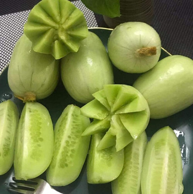 KNESSiN Cucumber Seed(200 per packet)