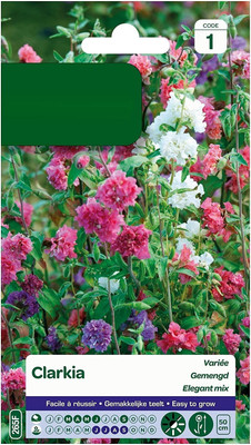 CYBEXIS Clarkia Elegans Apple Blossom Seed(50 per packet)