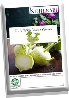 Quentova White Vienna Kohlrabi-1gm Seed(300 per packet)