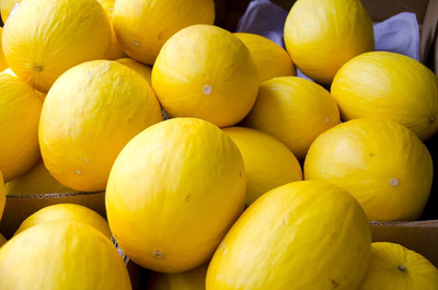 CYBEXIS VVI-4 - Hybrid Muskmelon - Yellow Melon - (1350 Seeds) Seed(1350 per packet)