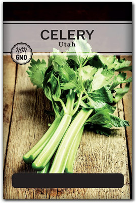 VibeX PAU-11 - Celery Utah Tall - (750 Seeds) Seed(750 per packet)