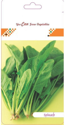 CYBEXIS Spinach Seeds Hybrid1000 Seeds Seed(1000 per packet)