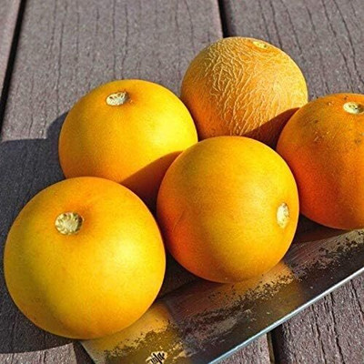 Qualtivate RES-2A Yellow Musk Melon Seed(200 per packet)