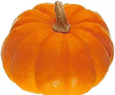 CYBEXIS Hybrid Pumpkin Seeds Vines Fresh100 Seeds Seed(100 per packet)