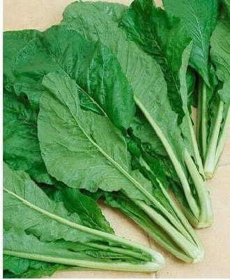 Qualtivate AXL-1AT Mustard TENDERGREEN Komatsuna Seed(300 per packet)