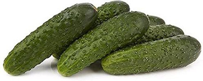 VibeX ® VXI-706 Cucumber Marketmore Seeds Seed(200 per packet)