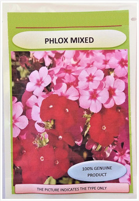 CYBEXIS Phlox Alaska Mixed Seeds Seed(1 g)