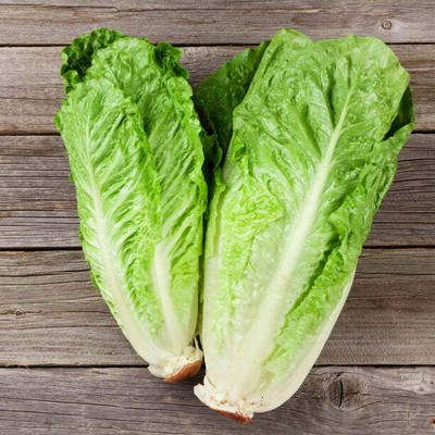 BDSresolve iceberg lettuce Seed(12 per packet)
