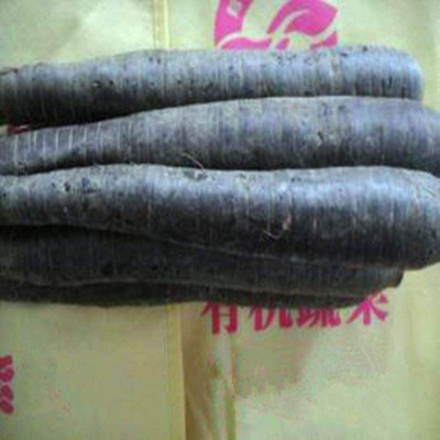 CYBEXIS Hybrid Purple Carrot Vegetable Seeds2000 Seeds Seed(2000 per packet)