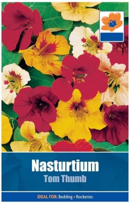 CYBEXIS Nasturtium Tom Thumb Seeds Seed(50 per packet)