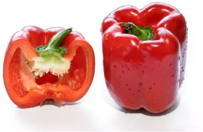 VASUDHA Organic Red Capsicum Seed(800 per packet)