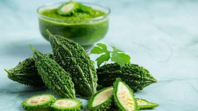 Paudhaa F1 BEST QUALITY BITTER GOURD SEEDS Seed(33 per packet)