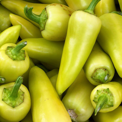 CYBEXIS Organic Fresh Chili Seeds1200 Seeds Seed(1200 per packet)