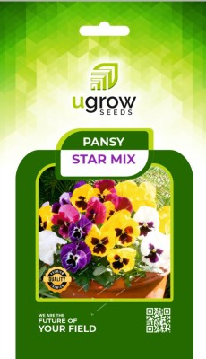 GARDENIFY INDIA GARDENIFY INIDA MIX OF STAR PANSIES FOR A COLORFUL GARDEN DISPLAY FOWERS & SEEDS Seed(40 per packet)