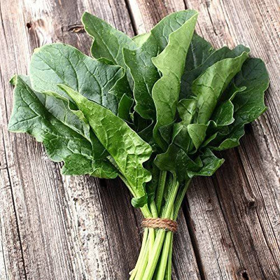 CYBEXIS NBIR-8 - Perpetual Spinach (Swiss Chard) - (750 Seeds) Seed(750 per packet)