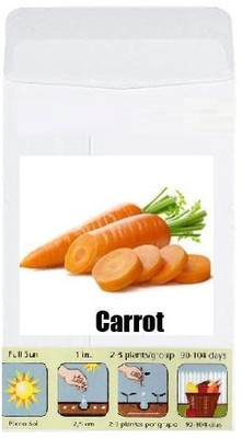 CYBEXIS Organic Vegetable Seeds-Carrot4000 Seeds Seed(4000 per packet)