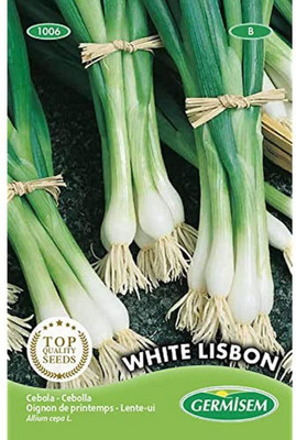 CYBEXIS White Lisbon Onion Seeds4000 Seeds Seed(4000 per packet)