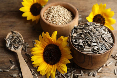 sunflowerr sunflower Seed(50 g)