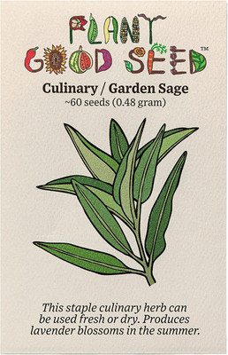 CYBEXIS PAU-62 - Garden Sage - (1350 Seeds) Seed(1350 per packet)