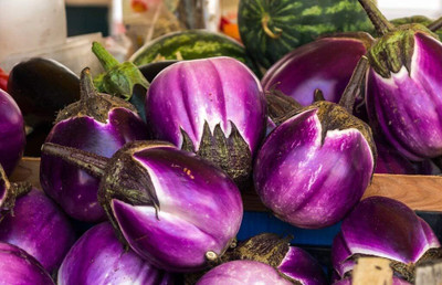 Qualtivate JXL-8AT Brinjal Aubergine Round Heirloom Seed(300 per packet)
