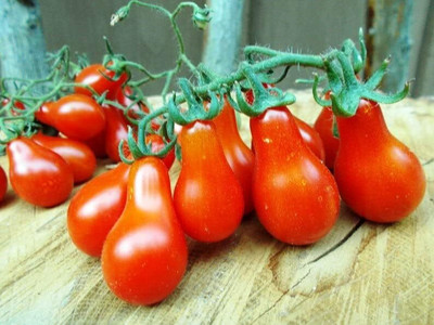KNESSiN Heat Tolerant Red Pear-Shaped Tomato Summer Vegetable Seeds - (2000 Seeds) Seed(2000 per packet)