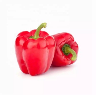 VASUDHA Shimla Mirch/Capsicum/Bell Pepper Seed(250 per packet)