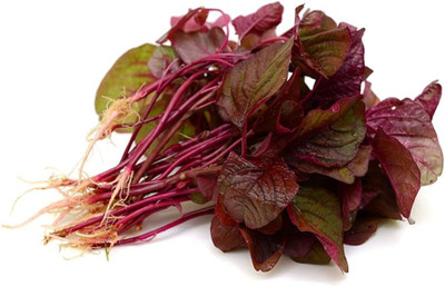 BDSresolve red spinach/red spinach seeds 81 Seed(81 per packet)