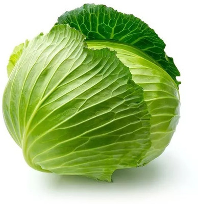 Quentova Round green Cabbage-AJ Seed(75 per packet)