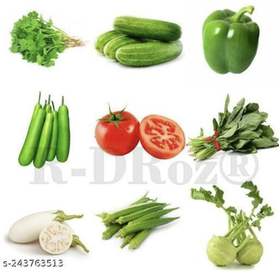 FRESHO All Mixed Vegetable Seeds Seed(400 per packet)