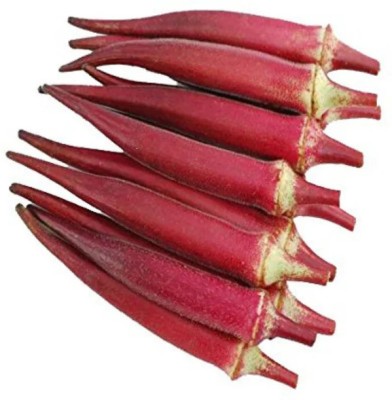 DHENU PRASAD 3465 Hybrid f1 Red Indo Agri Radhika Okra, Bhindi, Lady Finger Seed(3465 per packet)