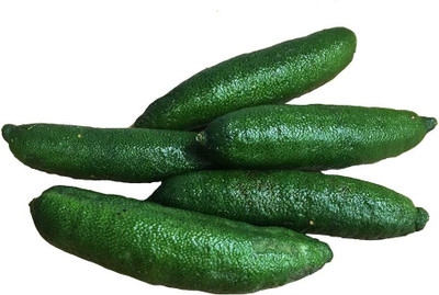 CRGO ™ XII-1199 Finger Limes Seeds Seed(45 per packet)