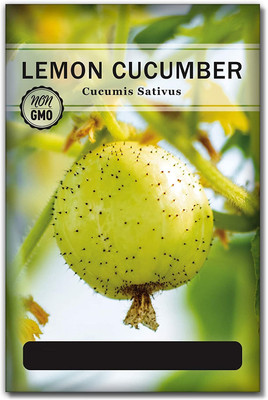 Biosnyg NDIR-11 Lemon Cucumber Seeds-[800 Seeds] Seed(800 per packet)