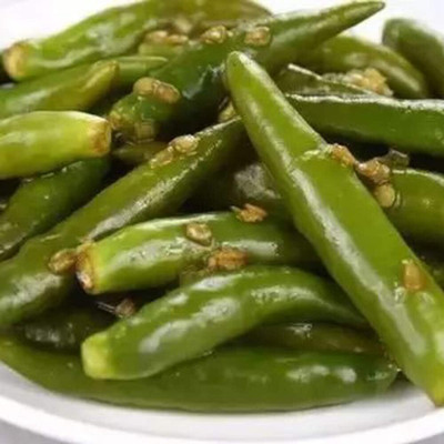 KNESSiN Chilli Pepper Seed(1250 per packet)